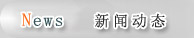 新聞資訊